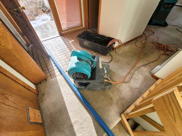 Water damage restoration insurance claims in NY