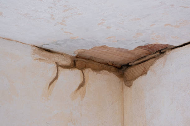 Best Flooded house restoration  in East Massapequa, NY