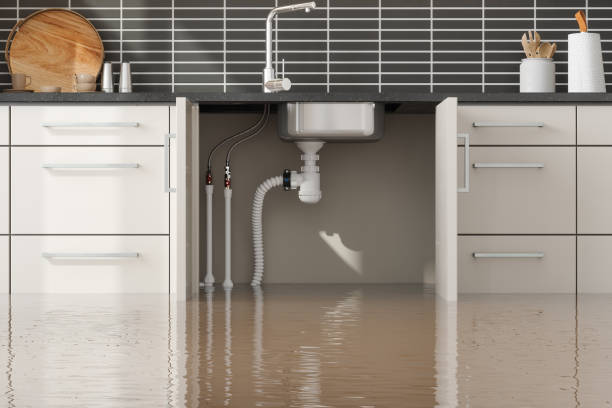 Water damage restoration mold remediation in NY