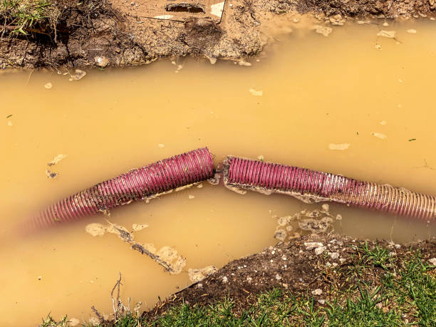 Best Flood restoration services  in East Massapequa, NY