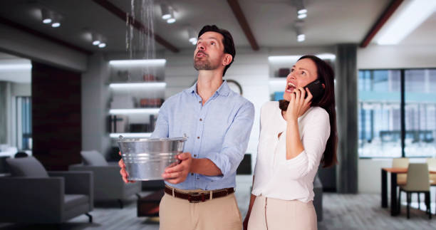 Best Water damage cleanup near me  in East Massapequa, NY